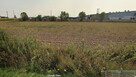 Broszków, ul. Północna - 1