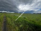 Piękna duża działka z WZ Nowe Faszczyce k/Błonia - 2