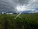 Piękna duża działka z WZ Nowe Faszczyce k/Błonia - 4