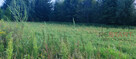 Działka budowlana Łoś gm. Prażmów, - 2