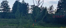 Działka budowlana Łoś gm. Prażmów, - 5
