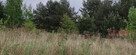 Działka budowlana Łoś gm. Prażmów, - 8