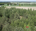 Działka budowlana Załuski, Leśna - 4