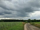Działka z warunkami zabudowy, woda, 2133m2, Szadek - 2