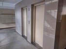 Do wynajęcia przytulne 3 pokoje na Bielanach - 15