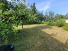 Działka ROD 3 ary, Legnica, ROD Nad Wierzbakiem - 5