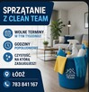 Profesjonalne sprzątania - 4