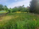 Działka ROD 3 ary, Legnica, ROD Nad Wierzbakiem - 9