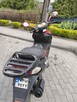 Syndyk sprzeda - Skuter Zipp Quantum CY50T-8, 2014 r. - 6