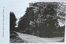 Okazja: Historyczny Dworek 179m² , dz. 0,8 ha w Sercu Polski - 11