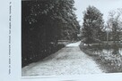 Okazja: Historyczny Dworek 179m² , dz. 0,8 ha w Sercu Polski - 12