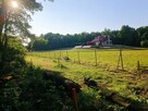DZIAŁKI NA SPRZEDAŻ – GAJ, GMINA WITKOWO - 12