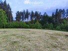 Kameralna działka budowlana nad jeziorem Juksty - 10