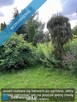 Działka rekreacyjna z domkiem w ROD "Kaczeniec" - Ząbki koło Warszawy - 11