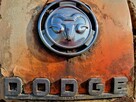Dodge Job Rated 1954 Vintage Ambulance Food Truck Project - 4
