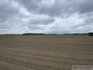 Działka budowlana 691 m2 w Borkach Siedleckich! - 2