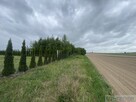 Działka budowlana 691 m2 w Borkach Siedleckich! - 5