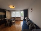 Mieszkanie 3-pokojowe, 56 m², Żytnia