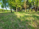 Działka BUDOWLANA Konary ul. Brzozowa 1500m2/ SOCHACZEW - 5