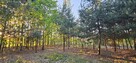 Działka bud.; 2900 M2; Łukawska Wola; WZ; ZADRZEWIONA - 9
