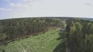 Działka budowlana 1000M2; WZ; BRZÓZA - 5