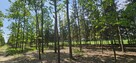 Działki bud. 1202M2; WZ; STUDNIE - 6