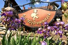️Poszukujemy koordynatora ds. Sprzedaży Eventów