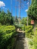 Ogródek działkowy – ROD Ziemia Bytomska, Nowy Bytom | 396 m² - 5