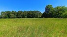 Działki Pniówek, 2,5 km od Zamościa - 6