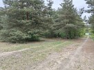 Syndyk sprzeda - Łacha - 5