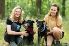 Devi i Devo - łagodne, poczciwe psiaki szukają wspólnego dom - 5