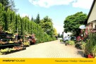 Dom,biznes i inwestycja na jednej działce 4390 m² - 3