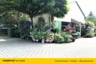 Dom,biznes i inwestycja na jednej działce 4390 m² - 5