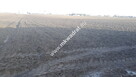 Wynajem działka budowlana 1000 m²