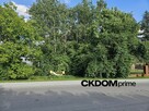 ???? Wyjątkowa działka budowlana Dąbrowa, gm. Masłów - 5