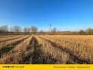 Działka budowlana 13 km od morza koło Kołobrzegu. - 6