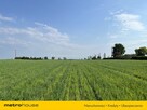 Działka budowlana 13 km od morza koło Kołobrzegu! - 8