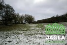 Działka budowlana Gruczno gm. Świecie - 7