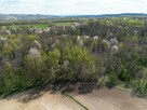Działka leśna Zawada gm. Tarnów - 3