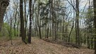 Działka leśna Zawada gm. Tarnów - 15