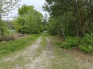 Syndyk sprzeda - Łacha - 4
