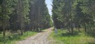 Działki bud. 1202M2; WZ; STUDNIE - 1