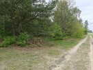 Syndyk sprzeda - Łacha - 8