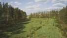 Działka budowlana 1000M2; WZ; BRZÓZA - 2