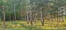 Działka bud.; 2900 M2; Łukawska Wola; WZ; ZADRZEWIONA - 6
