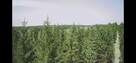 Działki bud. 1202M2; WZ; STUDNIE - 10