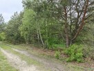 Syndyk sprzeda - Łacha - 7