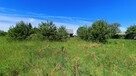 Działki Pniówek, 2,5 km od Zamościa - 9