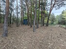 Syndyk sprzeda - Łacha - 9