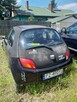 Samochód osobowy Ford Ka, rok produkcji 2004 - 3